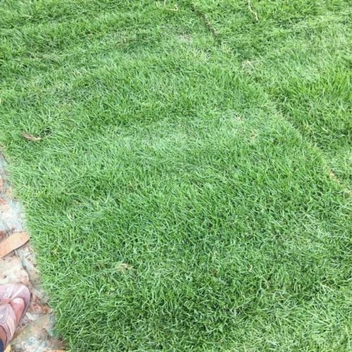 Natural Grass - Color: Green