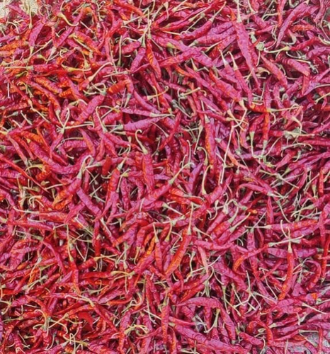 Dry Red Chillies - Fresh Quality, 100% Pure, Natural Dried, Spicy Flavor | Good For Health, Food Grade, Whole Pieces, Store In Cool & Dry Places