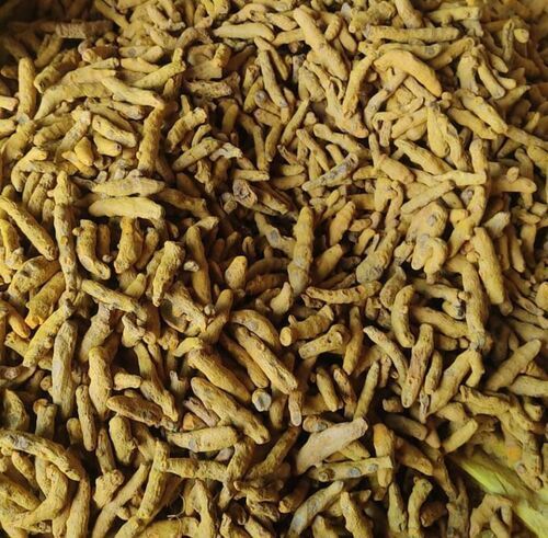 Dry Turmeric By Sumit Enterprises