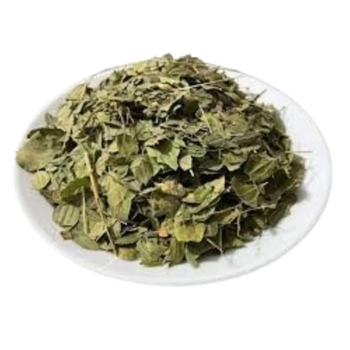 Gymnema Sylvestre Dried Leaves - Natural Medicinal Leaf, Ideal for Storage in Dry Place