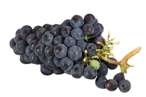 Jumbo Black Grapes - Fresh, Whole, Oval Shape, Standard Size | Sweet Flavor, 100% Purity, 10 Days Shelf Life, Common Cultivation