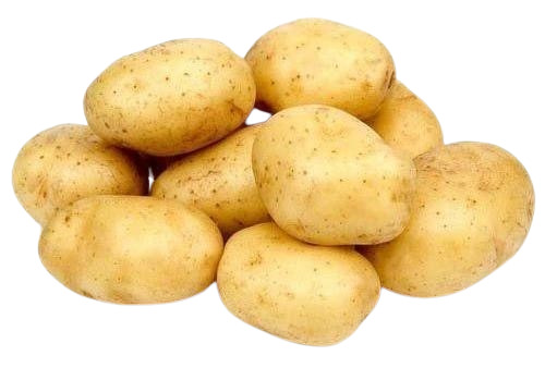 fresh potato
