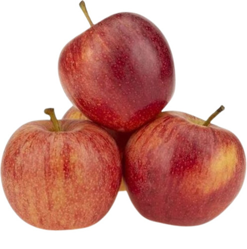 apple fruit
