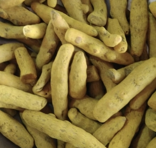 Turmeric Finger - Whole, Elongated Yellow Spice | 100% Natural Dried, Very Good Quality, Good for Health