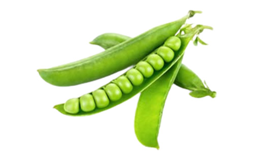 Fresh Green Peas - Very Good Quality, 100% Pure, Round Shape, Cool & Dry Storage, Good for Health, Fried Style, Shelf Life of 15 Days