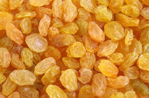 Golden Raisins - 100% Mature, Sweet Taste, Golden Color | Very Good Quality, Health Benefits, Sun-Dried Process