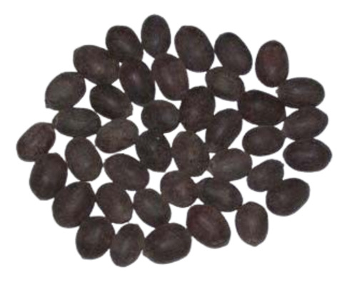 Lotus Seeds - Fresh & Very Good Quality | 100% Purity, Natural Drying Process, Black Color, Good for Health