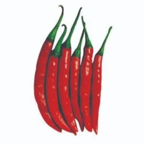 Mahyco Hybrid Chilli Seed