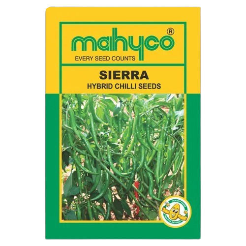 Mahyco Hybrid Chilli Seeds