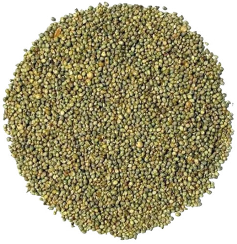 Millet Seeds - Fresh Green, 100% Pure Quality | Very Good for Health, Naturally Dried, Grade A