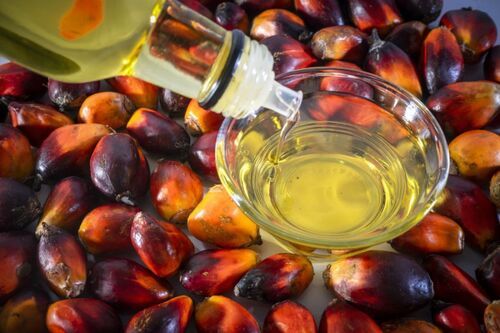 PALM OIL