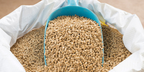 Animal Feed - Dried Corn Seeds, Brown | Organic, Nutritional Efficacy, Suitable For Cattle, Enhanced Feed Preservatives
