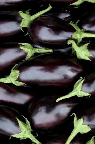 brinjal 