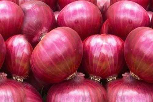 Red Onion  - Style: Cooked