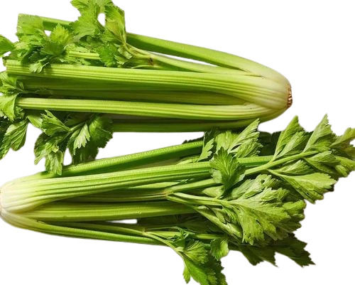 Fresh Celery