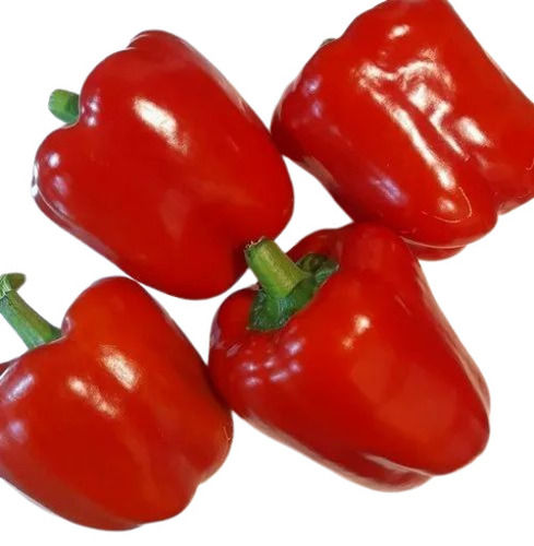 Fresh Red Capsicum