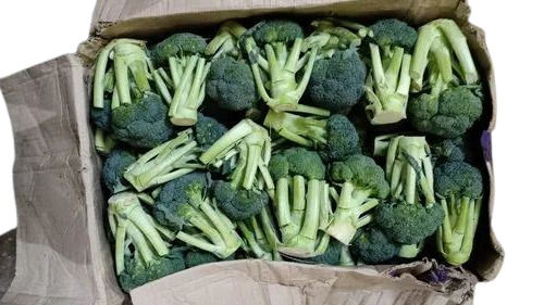 Green Broccoli