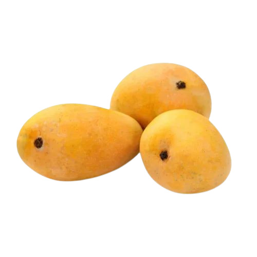 Alphonso Mangoes - Fresh Quality, Very Good Purity | Sweet Taste, Standard Size, Yellow Color, Oval Shape, 100% Maturity, Good for Health