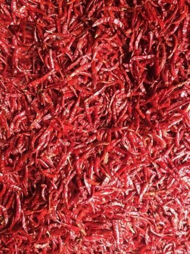 Guntur Dry Red Chilli - Fresh, 100% Pure, Naturally Dried, Whole Elongated Shape | Spicy Taste, Food Grade, Good For Health, Cool & Dry Storage