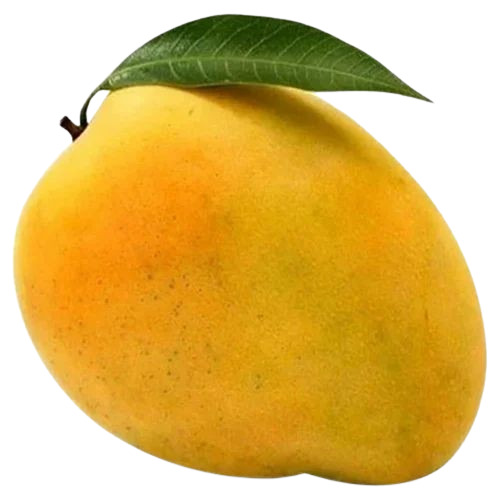 Fresh Alphonso Mangoes