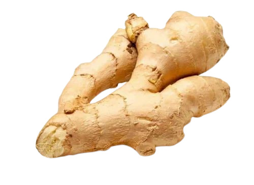 fresh ginger