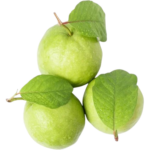 Fresh Guava - 100% Pure, Very Good Quality | Sweet Taste, Green Color, Whole Round Shape, Common Cultivation, 15 Days Shelf Life
