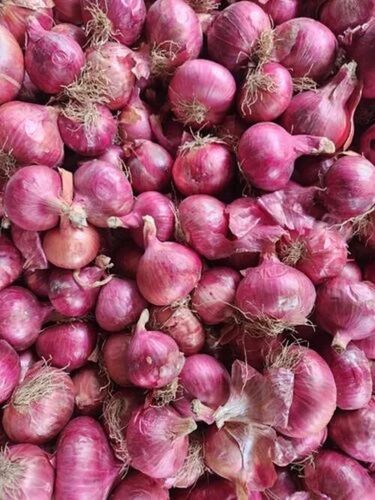 Fresh Red Onion - Very Good Quality, 100% Pure Vegetable | Health Benefits, Raw Processing, Cool & Dry Storage, Round Shape, Best for Cooking