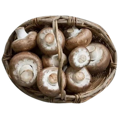 Fresh Shiitake Mushroom - Whole, Standard Size, Brown Color | Very Good Food Grade Quality, 100% Purity, Good for Health