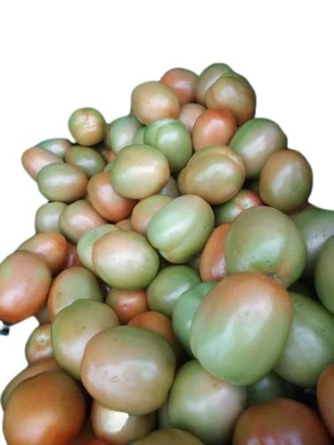 Fresh Tomatoes - 100% Pure, Very Good Quality | Oval Shape, Good For Health, Ideal For Cooking, Stored In Cool & Dry Places, Raw Processing, 15 Days Shelf Life