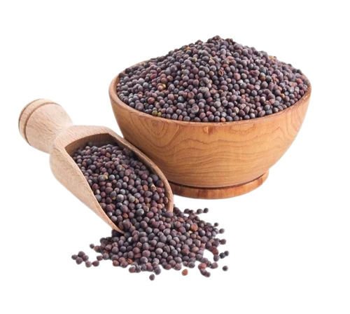 Black Mustard Seeds - 100% Pure, Fresh Quality, Very Good Health Benefits, Natural Drying Process, Grade A, Black Oil Seeds