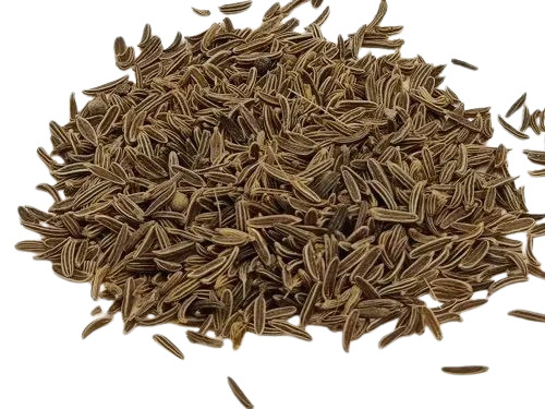 Brown Cumin Seeds By Vishal Trading Company