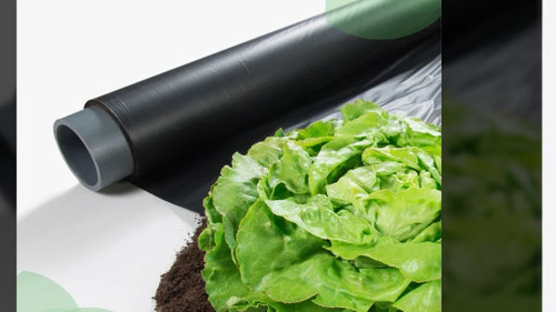 Multilayer Mulching Film - Film Length: 400 Millimeter (Mm)
