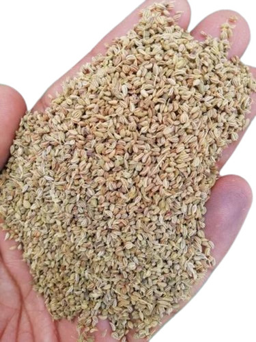 Organic Ajwain 