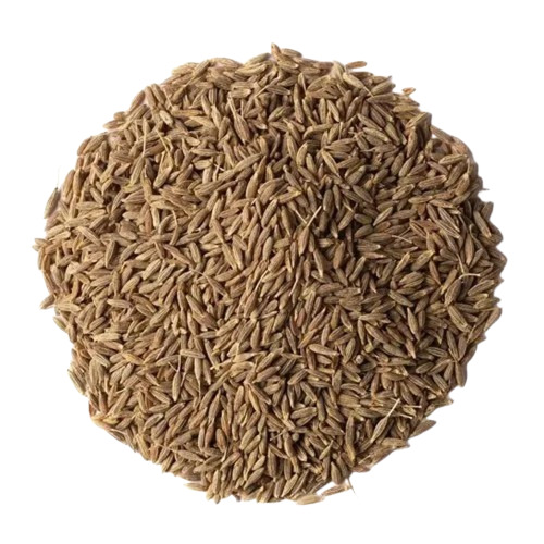Organic Cumin Seeds - 200g Natural Dried, Very Good Quality, Whole Elongated Brown Seeds, Good for Health