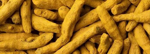 Organic Turmeric Finger By Vishal Trading Company