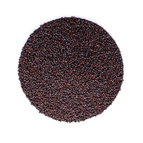 Pure Black Mustard Seeds - 100% Pure, Very Good Quality, Natural Drying Process, Health Beneficial Oil Seeds, Shelf Life: 1 Year