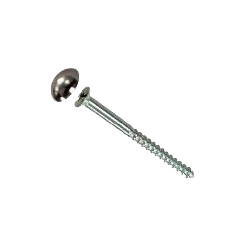 Stainless Steel Screw - 1-3 Inch Size, Round Head Shape, Chrome Finish, Silver Color | Pack of 100 Pieces