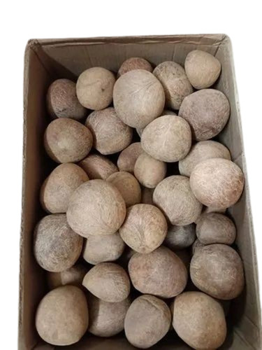Whole Dry Coconut - Brown, Standard Size, Round Shape | Natural Dried Pulp, 100% Purity, Very Good Quality, Ideal for Food Cultivation