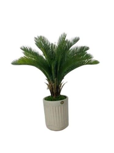 Artificial Areca Palm Tree for decoration