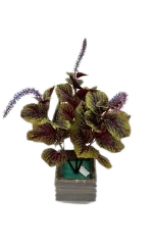 Artificial Tree - Plastic Material, Custom Size | Lightweight, Long Lasting Finish, Easy To Clean, Ideal For Home And Event Decoration