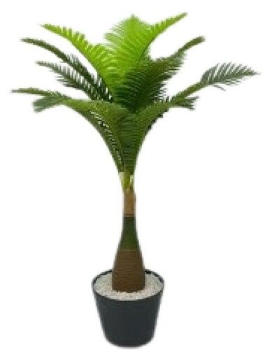 Bottle Palm Tree For Decor