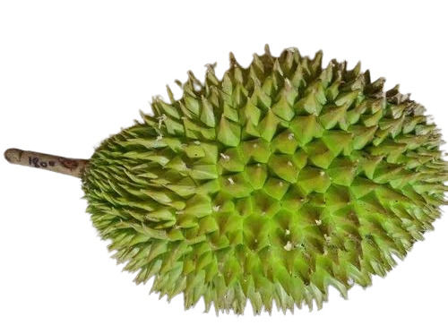 Durian Fruit