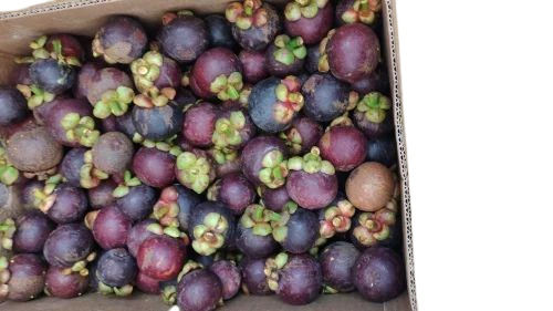 Mangosteen Fruits