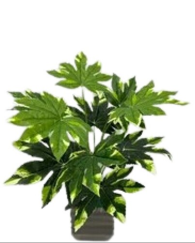 Papaya Artificial Plants
