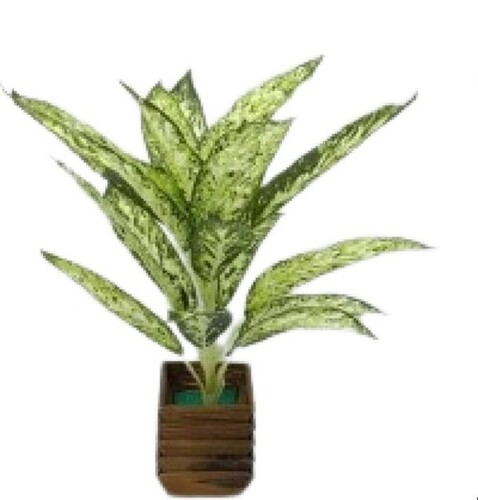Plastic Artificial Plant For Decoration