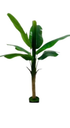 Plastic Banana Tree