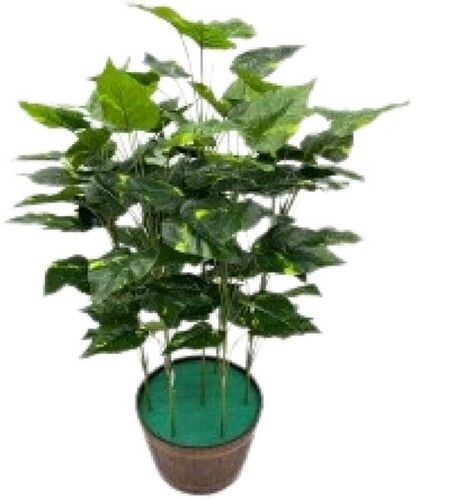 Plastic Green Artificial Plant