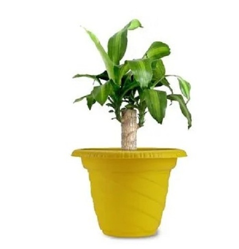 Plastic Planter