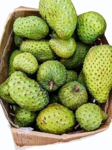 Soursop Fruit