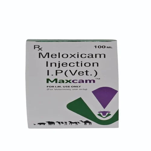 100 ml Vet Meloxicam Injection I.P